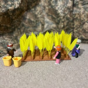 Campo de trigo modelo Espiga